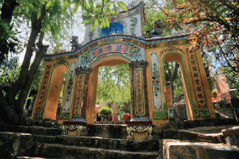 Ảnh slide minh họa 6